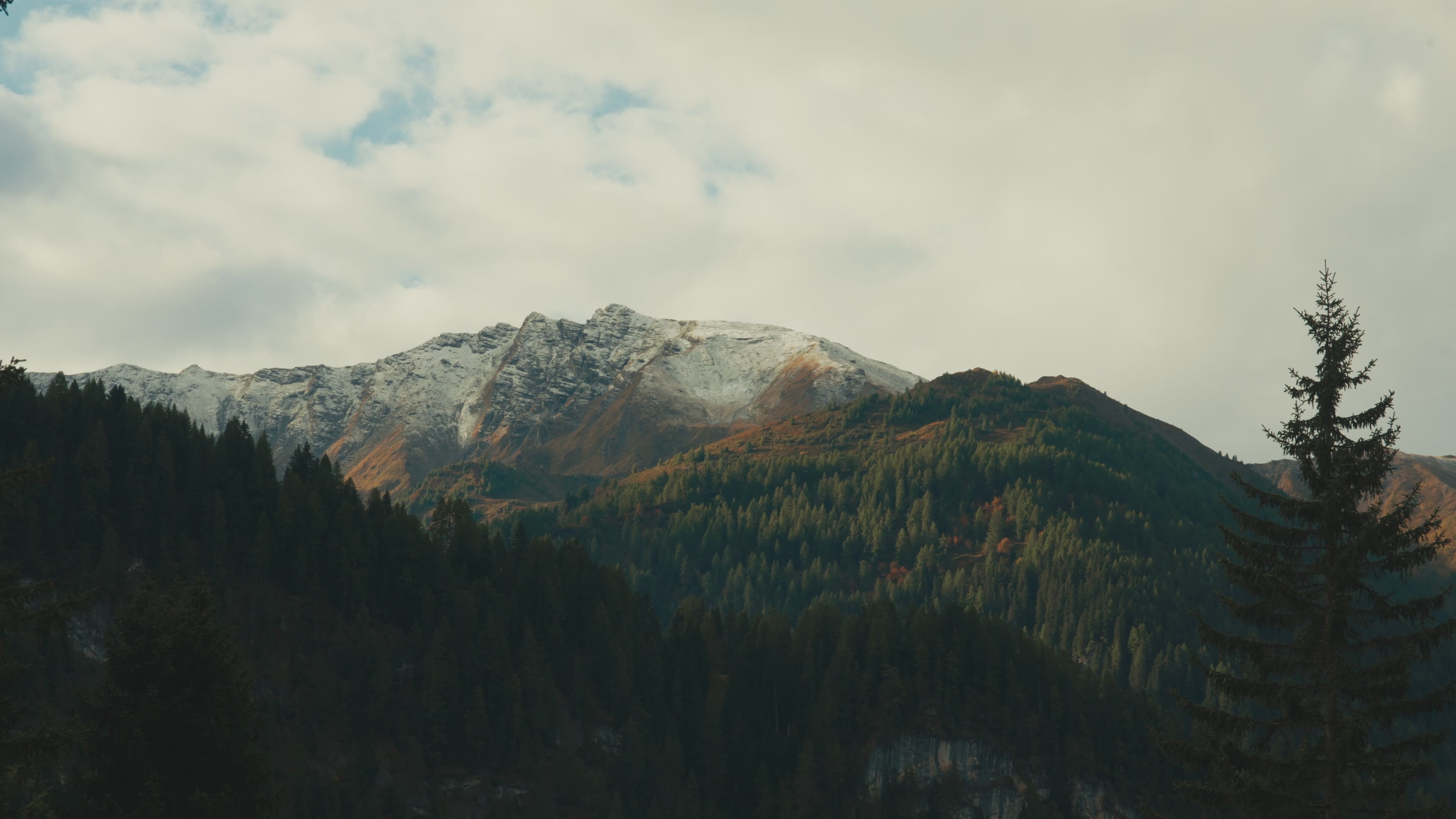 Laden Sie das Video: 